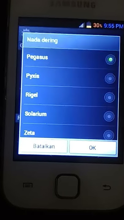 Samsung GT-S5360 Nada Dering - Pegasus