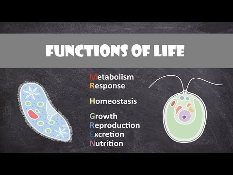 Functions of Life | Cell Biology