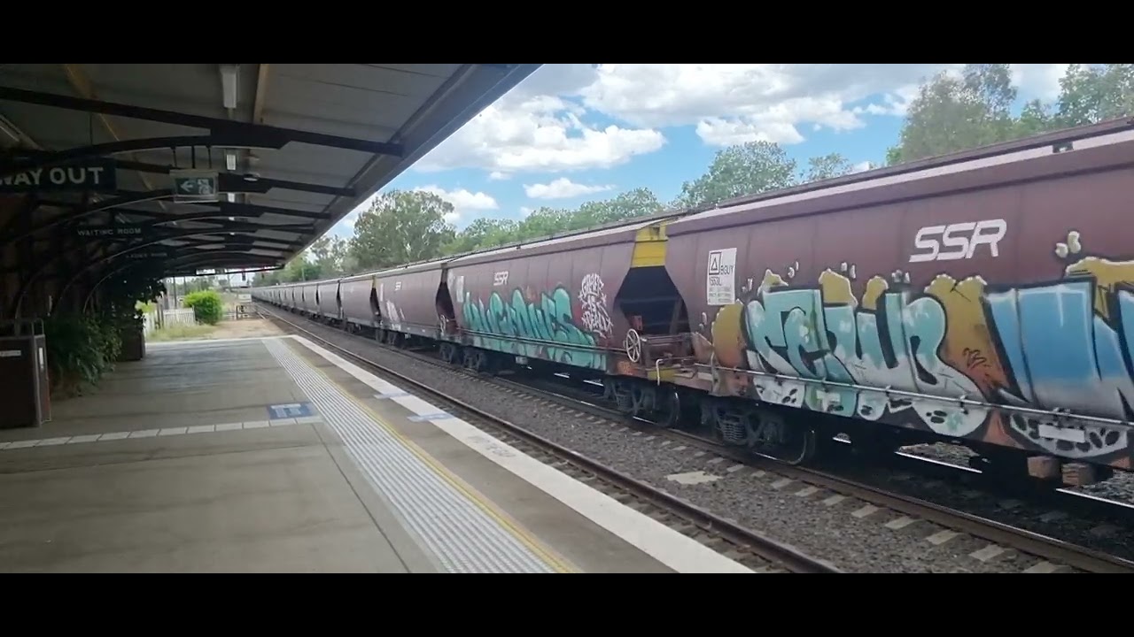 Empty SSR Grain train though Gunnedah Destination cryon 1/1/26