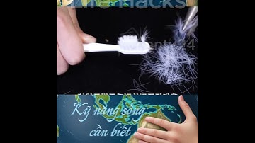 0904 Những Kỹ Năng Sống Thú Vị: Biến Bàn Chải Đánh Răng Thành Công Cụ Hữu Ích #shorts