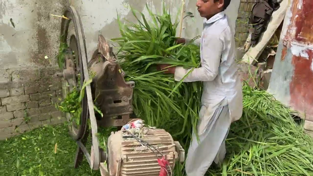 That's How We Cut Grass At Typical Electric Machine ||Village Life 