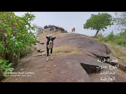 هضبة قرية القوع جنوب محافظة العارضة