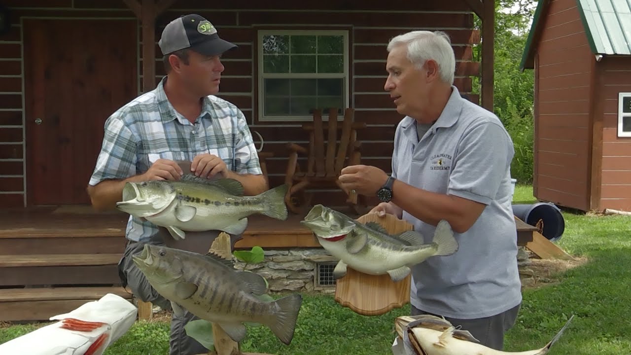 Replica vs. Skin Fish Mounts YouTube