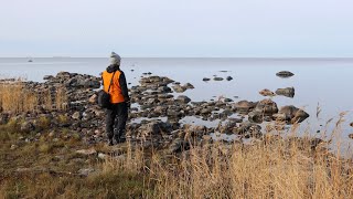Merellinen Polku Ja Croppaus-Pohdintoja Hierkonpolku 14.10.2024