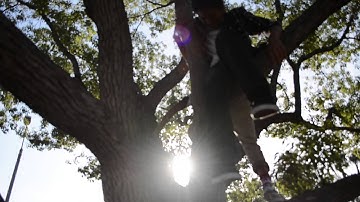 Twenty One Pilots - Stressed Out (Fan-made Music Video)