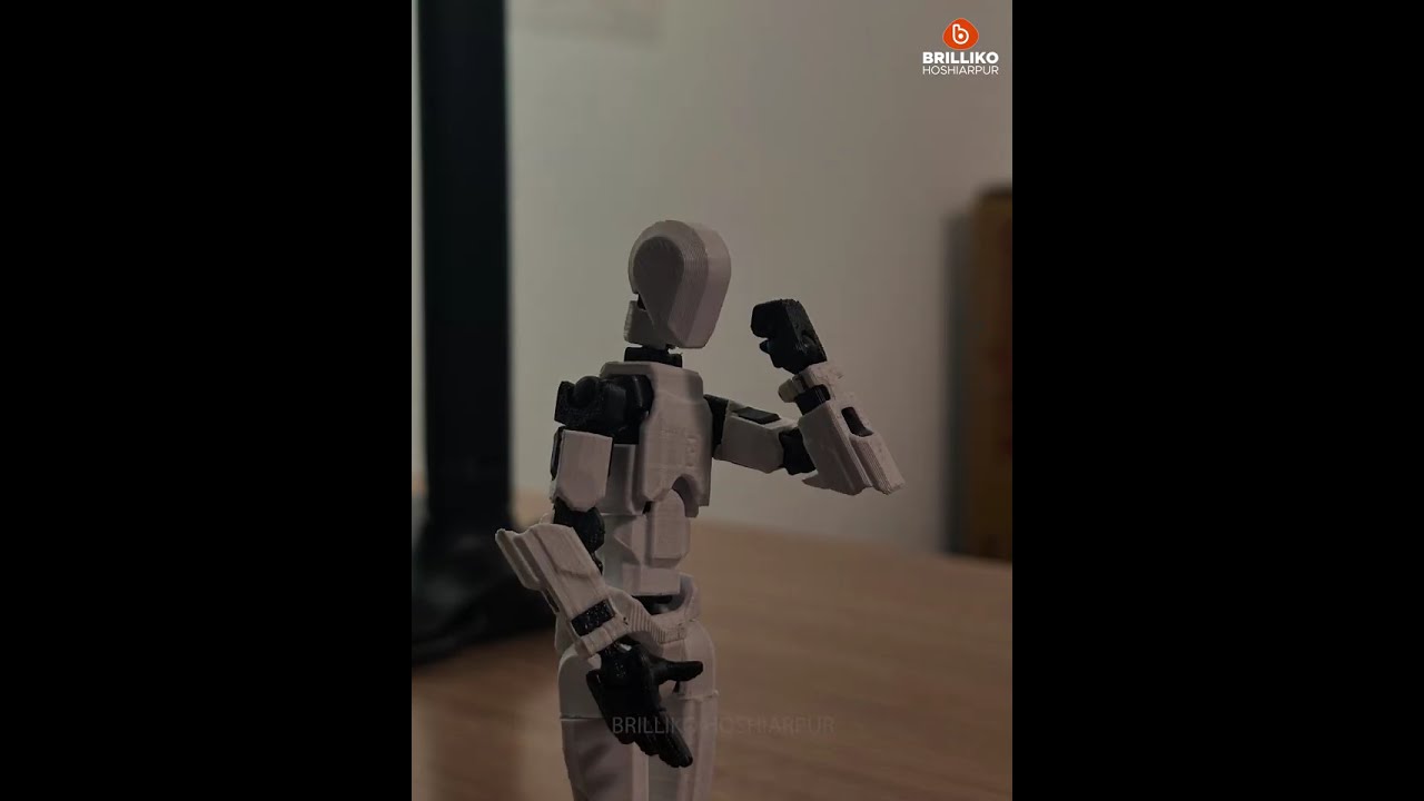 The Balance | Stop Motion Film by Brilliko Hoshiarpur Students