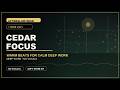 Cedar Focus | Warm Lo-Fi Chillout for Deep Work | 1 Hour