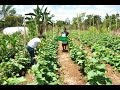 COOPERATIVA LAS BROMAS  UN CASO EXITOSO DE AGRICULTURA FAMILIAR