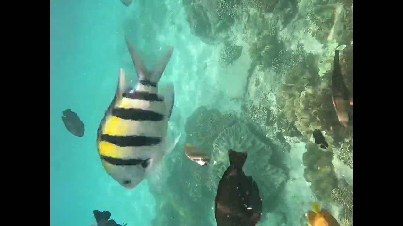  Blue Lagoon Beach (Snorkeling) 