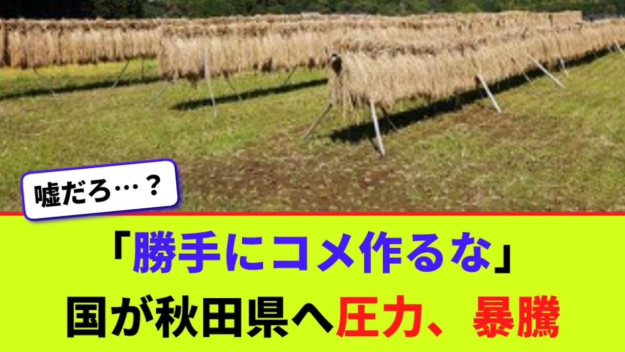 「勝手にコメ作るな」　 国が秋田県へ圧力、暴騰【2chまとめ】【2chスレ】【5chスレ】