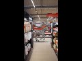 Ein Zebra in der Niederlassung?!