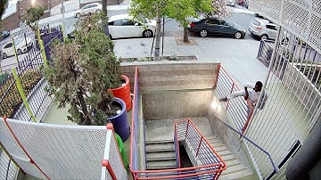 AI-powered live guard business security stops fence hoppers in seconds | Deep Sentinel Interventions