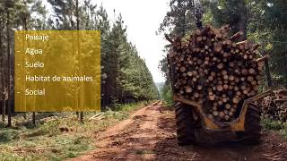 Breve introducción a los caminos forestales