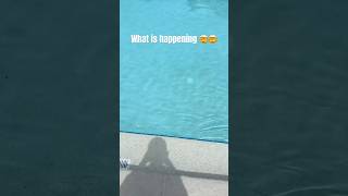 #song #video #fyp #sun #endoftheword #roblox #real #irl #trending #viralvideo #viralshort #youtube