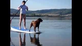 Fun Things to Do with Your Dog in Ogden Valley