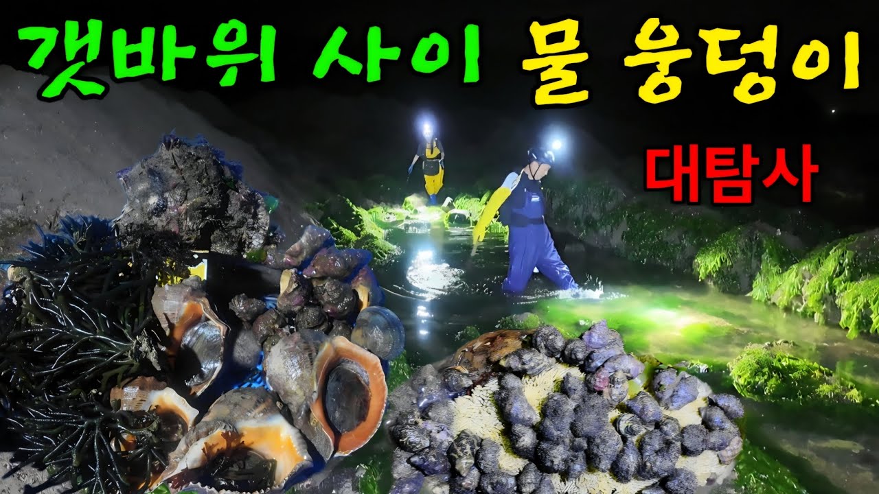 한순간에 쓸려나간 갯바위 사이 해산물 주워담기