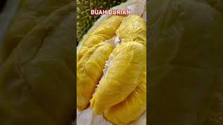 5 MANFAAT BUAH DURIAN UNTUK KESEHATAN TUBUH #kehidupan #kesehatan #tipssehat #herbal