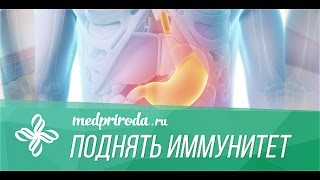 Как поднять иммунитет? Как поднять иммунитет?