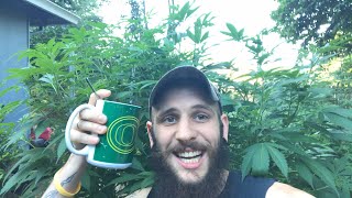 Coffee and a beard