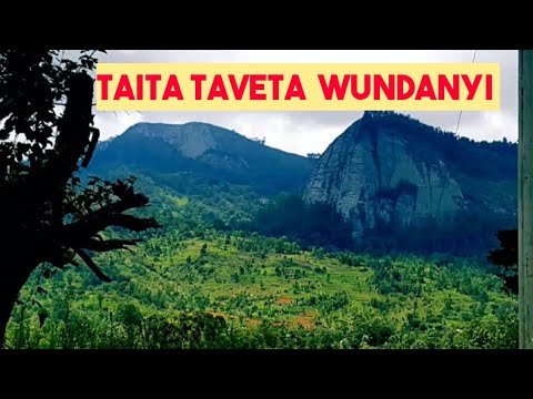TAITA TAVETA -(