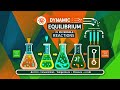 Unit 06 Equilibria Dynamic Equilibrium