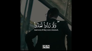 آجمل تلاوة القران الكريم ب صوت القارئ عمر عبدالعزيز ماتيسرمن سورة الأنعام آجمل حالات واتس اب قرآنيه