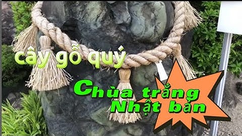 Lần đầu đi chùa trắng ở nhật bản. ngôi chùa nhỏ cạnh mie giống việt nam thế nào?
