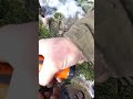 Odds &amp; Sods from holes