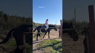 КАТАНИЕ НА ЛОШАДЯХ 🐎 #vlog