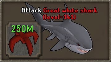 Sailing: Efficient Great White Sharks  (25M GP PER HOUR CURRENTLY)