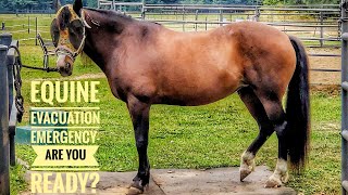 Emergency Equine Evacuation Preparedness - Are you ready?