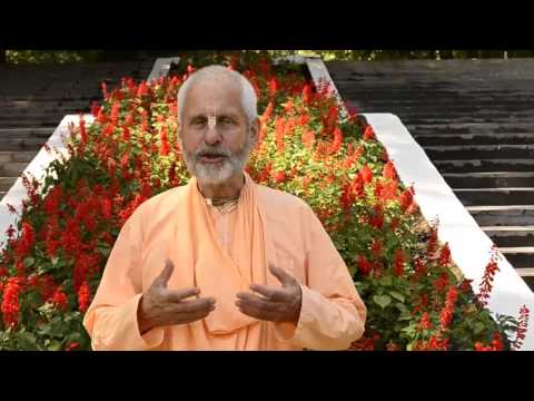 (11) სულიერი მასწავლებელი