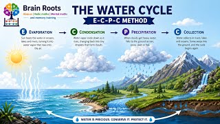 Water cycle E-C-P-C method 
