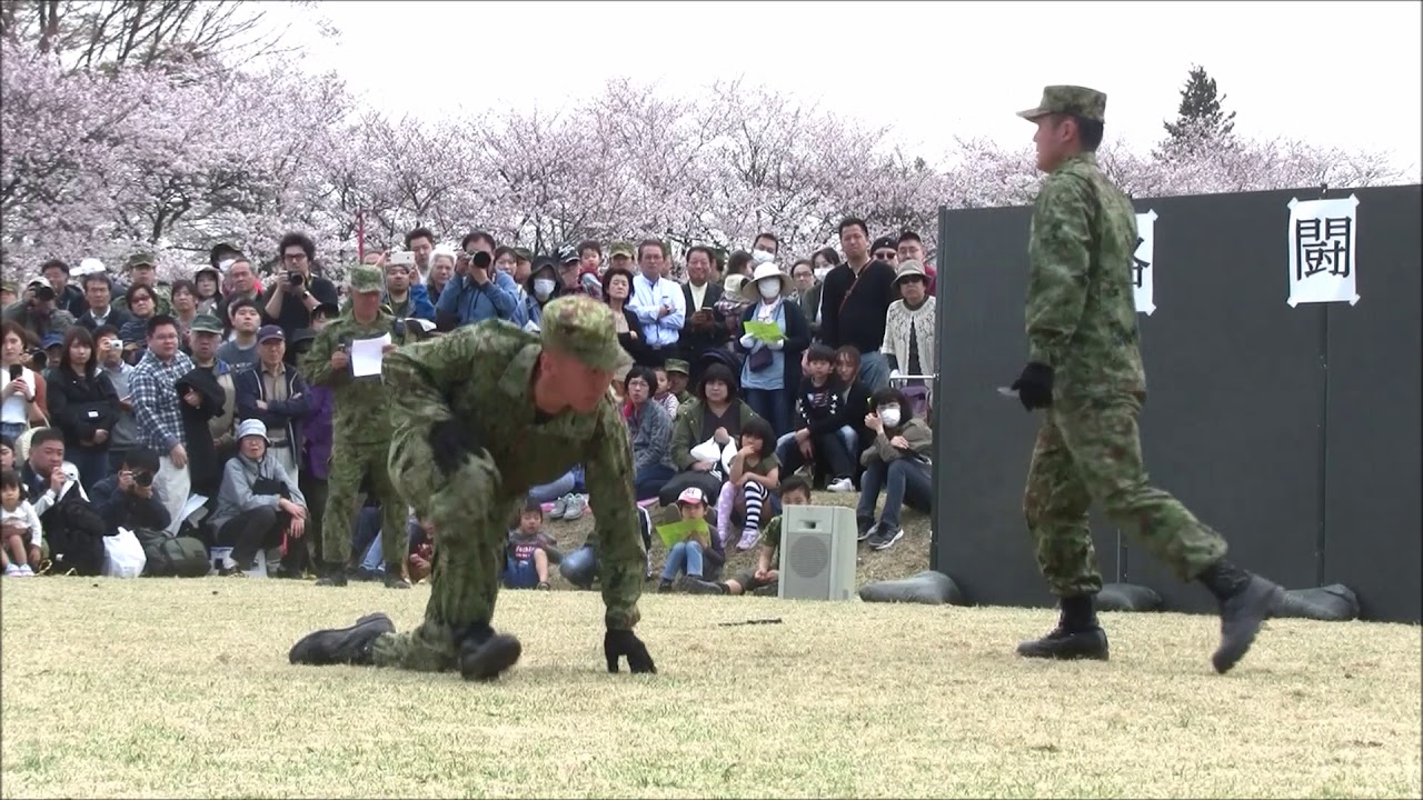これが自衛隊格闘技！徒手格闘演武（2019年　宇都宮駐屯地創立69周年記念行事）