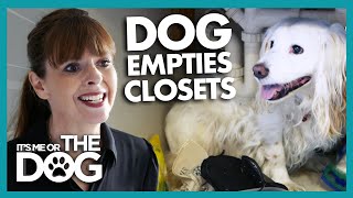 Dog's Separation Anxiety Results in Home Destruction! | It's Me or The Dog