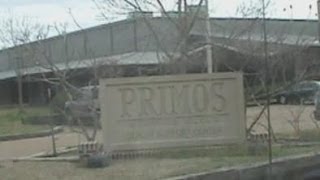 Tour of Primos Plant in Flora Mississippi with Jimmy Primos