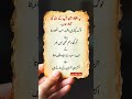 Dil Ko Choo Lene Wali Haqeeqat | Sad Poetry#urdushayari #quotes #poetry