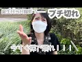 誕生日当日にやりたいことをぶっつけで叶えていく