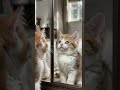 The cutest mirror reaction ever 🥹✨