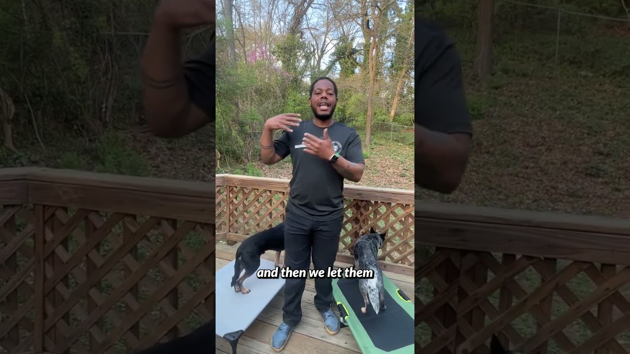 The major key to socialization is planning and doing it with structure