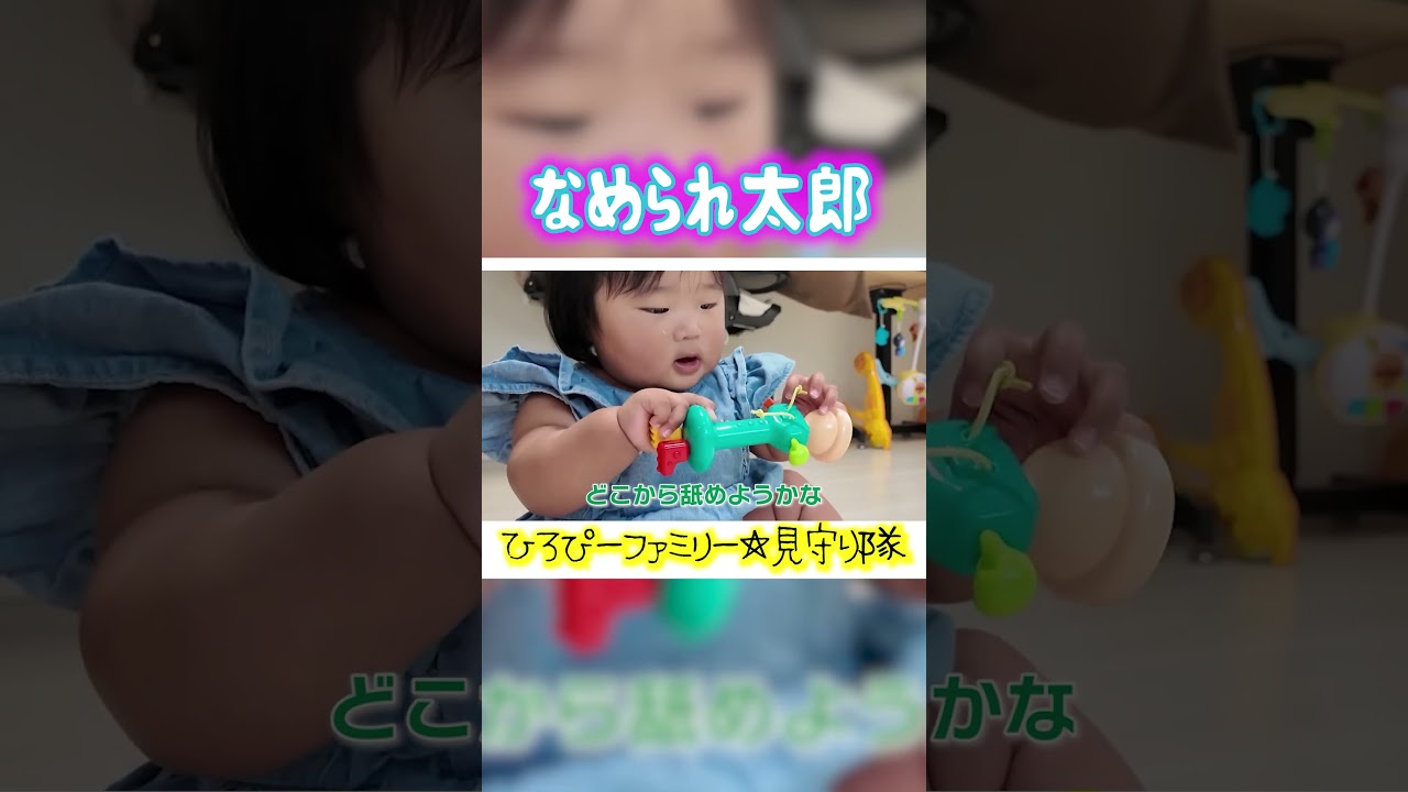 Recommended Toy | Hiro-P Family Highlights #shorts #HiroPFamily