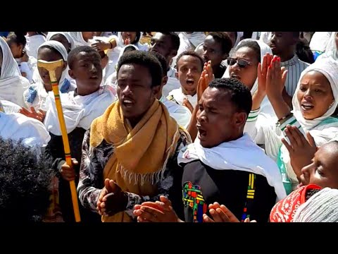 አሁን አሁን አማረ 