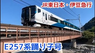 【E257系踊り子号】JR東日本・伊豆急行Part 1