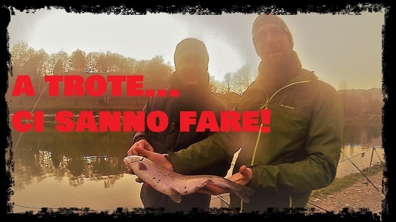 A trote... ci sanno fare!!! - Classicissima Artica 2.019 - Mussolente (VI)