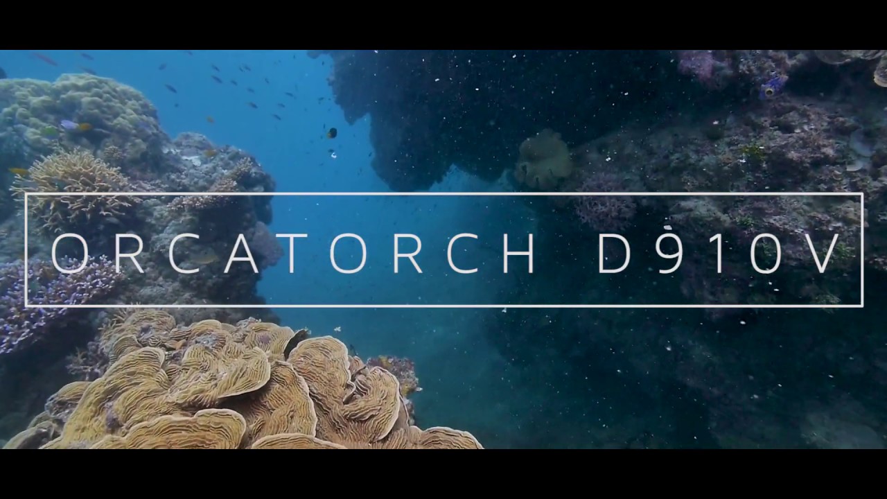OrcaTorch D910V Video Light Great Barrier Reef