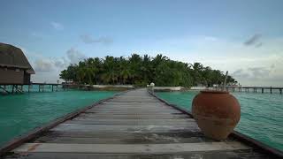 🏝 Island Oasis Ambient Sounds with Relaxation 🎵 Music