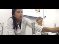 Clase Práctica. Dra. Chely - Cultivo