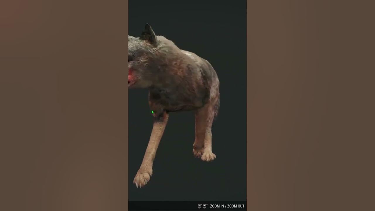 theHunter: Call Of The Wild - Iberian wolf (Ogro) "Cuatro Colinas