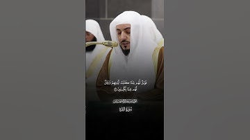 صلاة التراويح |الشيخ الوليد الشمسان |وَمِنۡهُمۡ أُمِّیُّونَ لَا یَعۡلَمُونَ ٱلۡكِتَـٰبَ |سورة البقرة