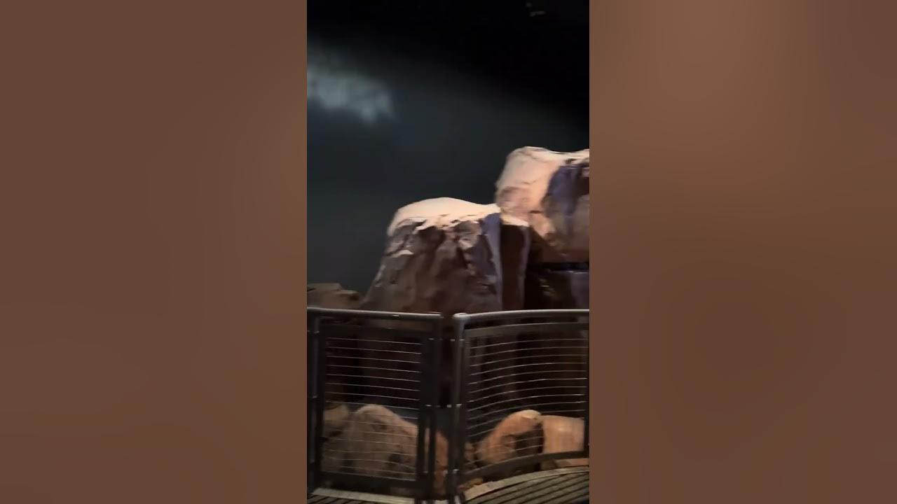 Springs Preserve Flash Flood YouTube